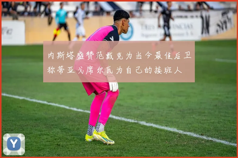 内斯塔盛赞范戴克为当今最佳后卫称蒂亚戈席尔瓦为自己的接班人