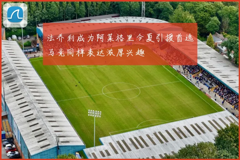 法乔利成为阿莱格里今夏引援首选马竞同样表达浓厚兴趣