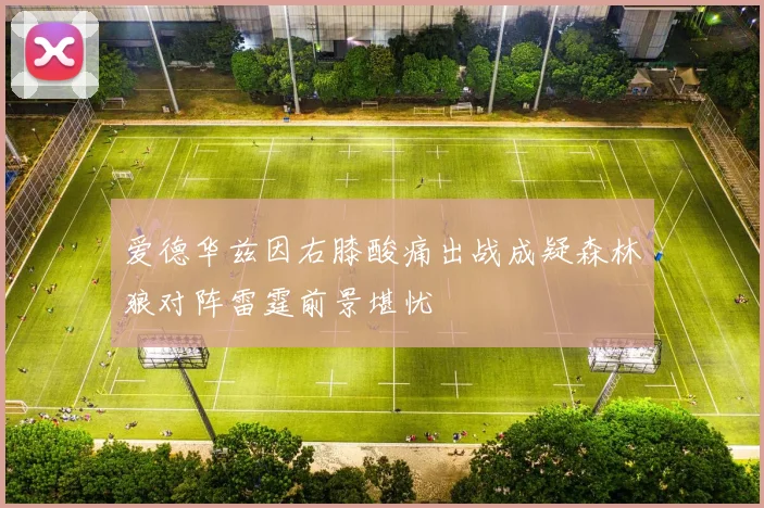 爱德华兹因右膝酸痛出战成疑森林狼对阵雷霆前景堪忧